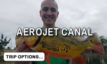 Miami Airport Lakes 81 Aerojet Canal