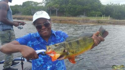 Peacock Bass Fishing In The AeroJet Canal Peacock Bass Fishing In The AeroJet Canal