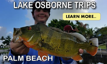 Lake Ida - Complete Guide to Lake Ida Fl 1024 Lake Osborne FISHING TRIPS