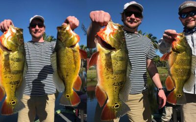 How to Succeed at Peacock Bass Fishing in Naples