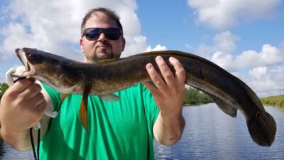 Florida Snakehead Fishing Charter Florida Snakehead Fishing Charter