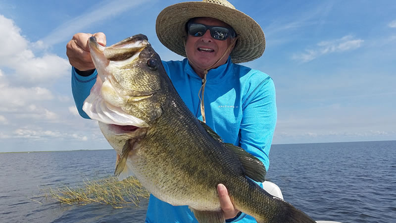 Lake Weohyakapka 4 Clewiston Fishing Guide Trophy Largemouth Bass Fishing