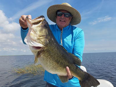 Lake Okeechobee Largemouth Bass Lake Okeechobee Largemouth Bass