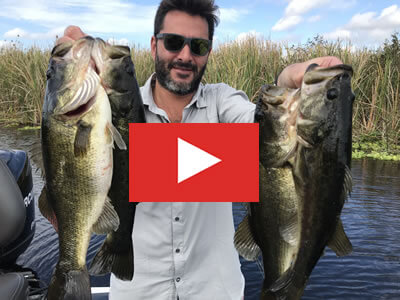 Largemouth Bass Video Gallery Largemouth Bass Video Gallery