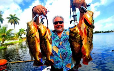 Miami Airport Lakes 80 March Trophy Peacock Bass Fishing Trip in South Florida
