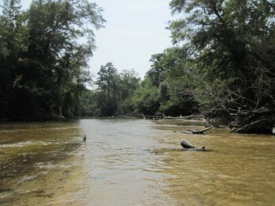 Yellow River Florida 1 Yellow River Florida