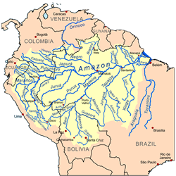 Peacock Bass 8 Brazil Amazon River Basin