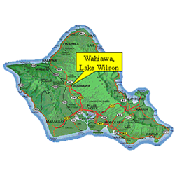 Peacock Bass 9 Hawaii Peacock Bass