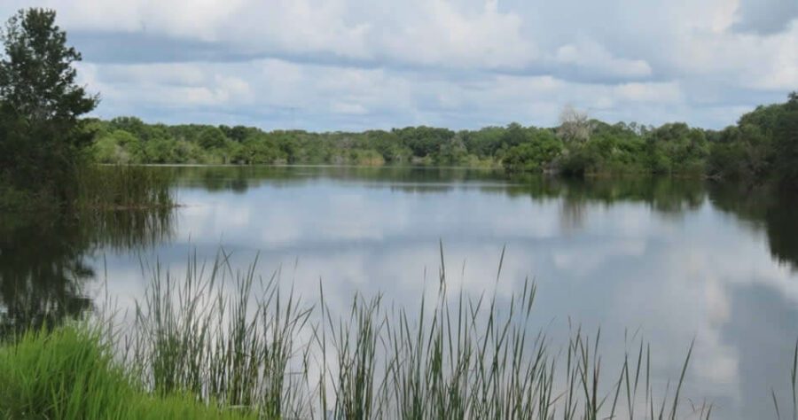 Saddle Creek Fishing 1 Saddle Creek Park