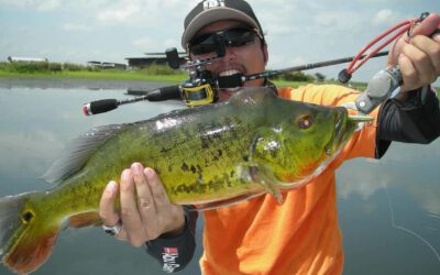 Miami Airport Lakes 79 Peacock Bass Fishing in Florida: Local Travel Guide