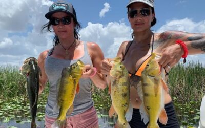How to Catch Peacock Bass: Fort Lauderdale Fishing Tips