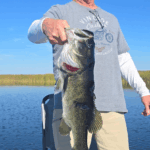 Explore Bass Fishing, Learn, Catch with Fishing Bass Pros 10 Bryan Oelkers Avatar