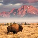 Lake Ida - Complete Guide to Lake Ida Fl 979 camenzie Avatar