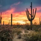 Lake Ida - Complete Guide to Lake Ida Fl 922 taylortanya77 Avatar