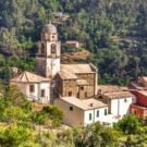 Lake Ida - Complete Guide to Lake Ida Fl 805 treepeony4 Avatar