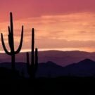 Lake Ida - Complete Guide to Lake Ida Fl 727 12points Avatar