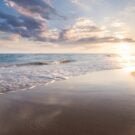 Lake Tohopekaliga 364 Mike M Avatar