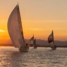 Lake Tohopekaliga 312 Quest00259682525 Avatar