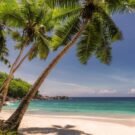 Rodman Reservoir, FL 226 Trip14569879718 Avatar