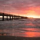 Lake Ida - Complete Guide to Lake Ida Fl 547 Tourist553020 Avatar