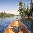 Miami Airport Lakes 50 Happiness570643 Avatar