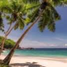 Lake Ida - Complete Guide to Lake Ida Fl 528 JoelCalderon1234 Avatar