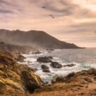 Lake Ida - Complete Guide to Lake Ida Fl 491 Sdbremer Avatar