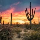 Lake Ida - Complete Guide to Lake Ida Fl 382 W6802QLjeffg Avatar