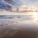 Lake Ida - Complete Guide to Lake Ida Fl 327 Alan K Avatar