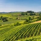 Lake Ida - Complete Guide to Lake Ida Fl 157 Jim-S-Littleton-CO Avatar