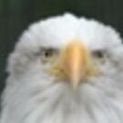 Lake Ida - Complete Guide to Lake Ida Fl 68 Bob S Avatar