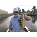 Florida Peacock bass photo Florida Peacock bass photo