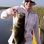 Everglades Bass Pictures Everglades Bass Pictures