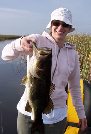 Everglades Holiday Park Largemouth Bass