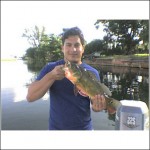 Florida Peacock bass Florida Peacock bass