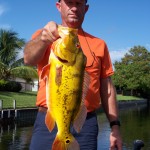 Florida Peacock Bass Pictures