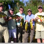 mcleod-group_peacock bass Peacock Bass in South Florida