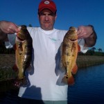 tonys-eddie-krovits Lake Ida Peacock Bass