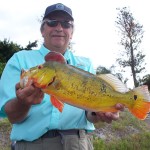 chief-006 chief-006