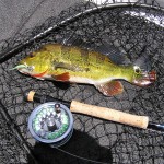 danniel-tuttle-may3-2009