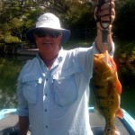 Merrill Eastman. Exotic Peacock Bass -Only in South Florida