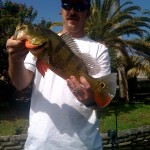 Peacock Bass Fishing FL Peacock Bass Fishing
