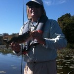Florida Bass Fishing Report