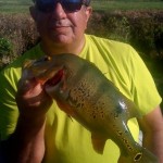 flpeacockbass.com flpeacockbass.com