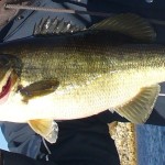 Kissimmee River
