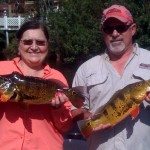 South Florida Peacock Bass South Florida Peacock Bass