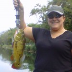Peacock bass fishing South Florida Peacock bass fishing South Florida