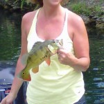 Peacock Bass Peacock Bass