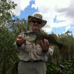 Florida Everglades Bass Fishing