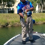 Peacock Bass Fishing Peacock Bass Fishing